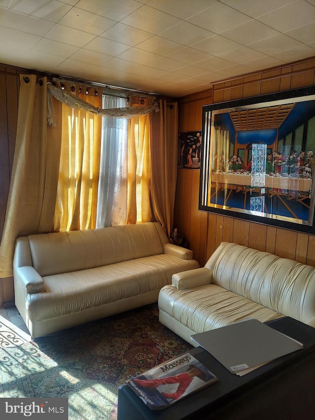 living room featuring wood walls