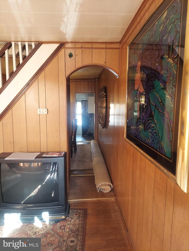 corridor with wood walls and dark hardwood / wood-style flooring