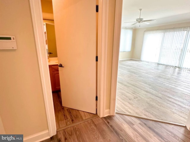 hall with hardwood / wood-style floors