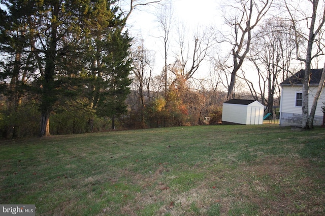 view of yard with a shed