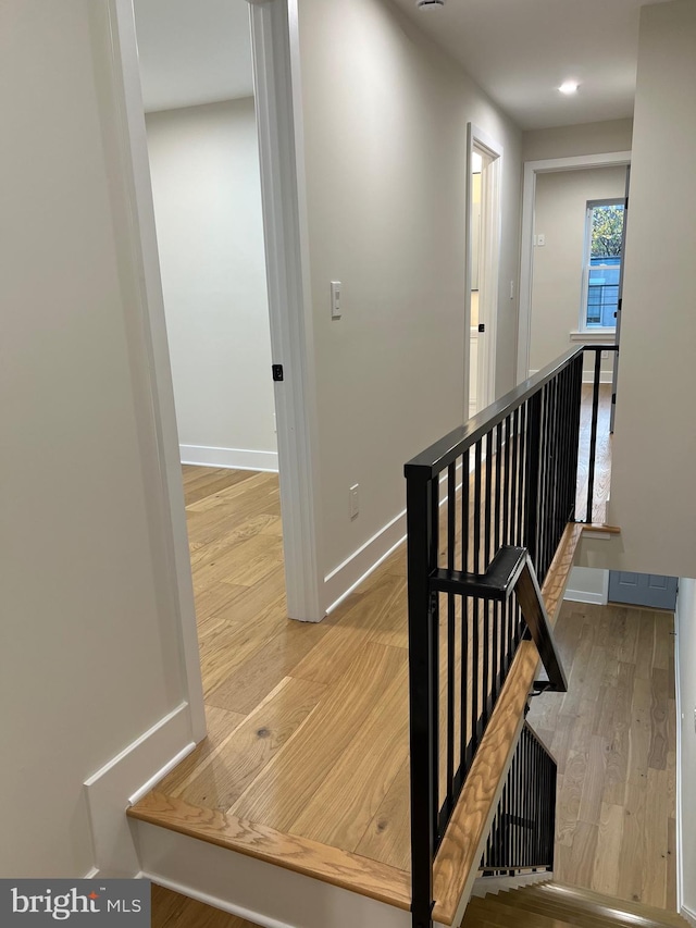 stairway featuring wood-type flooring