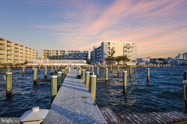 dock area with a water view