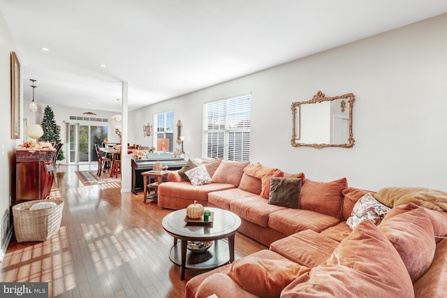 living room with a wealth of natural light and light hardwood / wood-style floors