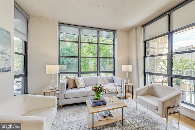 living room with floor to ceiling windows, hardwood / wood-style floors, and a wealth of natural light