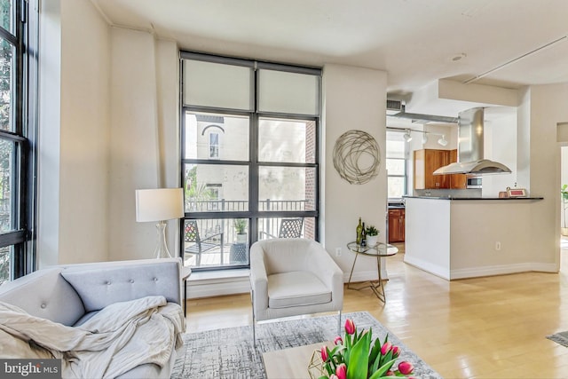 living room featuring light hardwood / wood-style floors and plenty of natural light