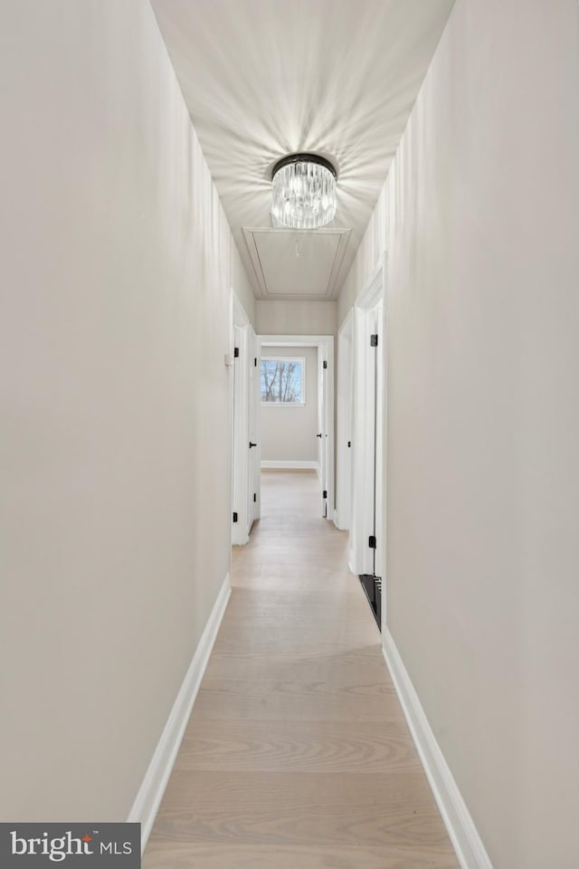 hallway with light hardwood / wood-style floors