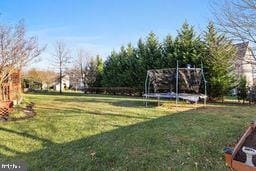 view of yard with a trampoline