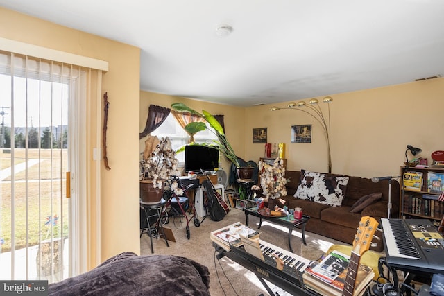 carpeted living room with plenty of natural light