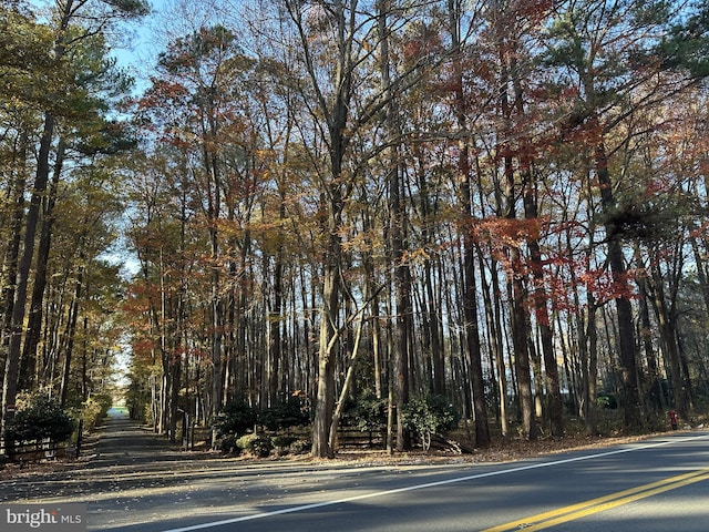 0 Steeple Chase Run, Lewes DE, 19958 land for sale