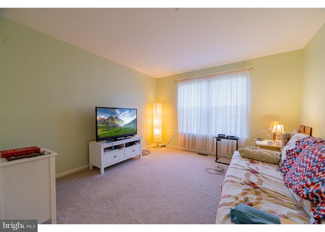 living room featuring light colored carpet