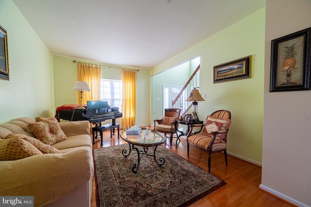 living room with wood-type flooring