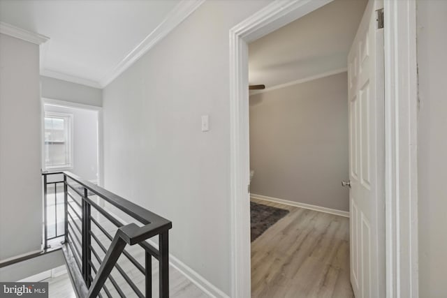 hall featuring light hardwood / wood-style flooring and crown molding