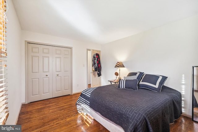 bedroom featuring dark hardwood / wood-style floors and a closet