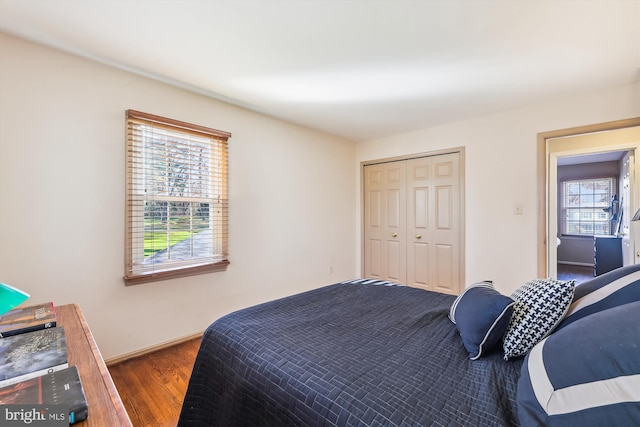 bedroom with wood-type flooring and a closet