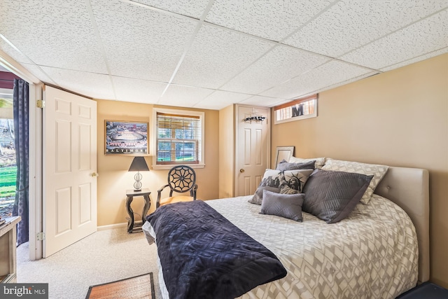 bedroom with carpet floors and a drop ceiling