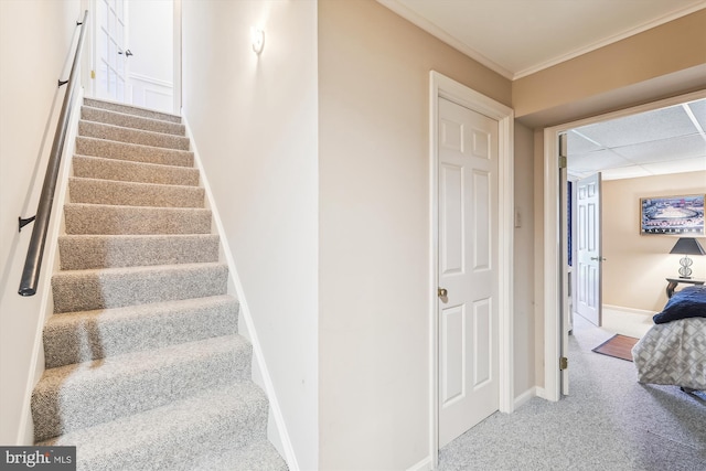 staircase with carpet and a paneled ceiling