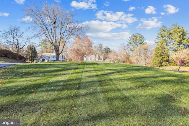 view of yard