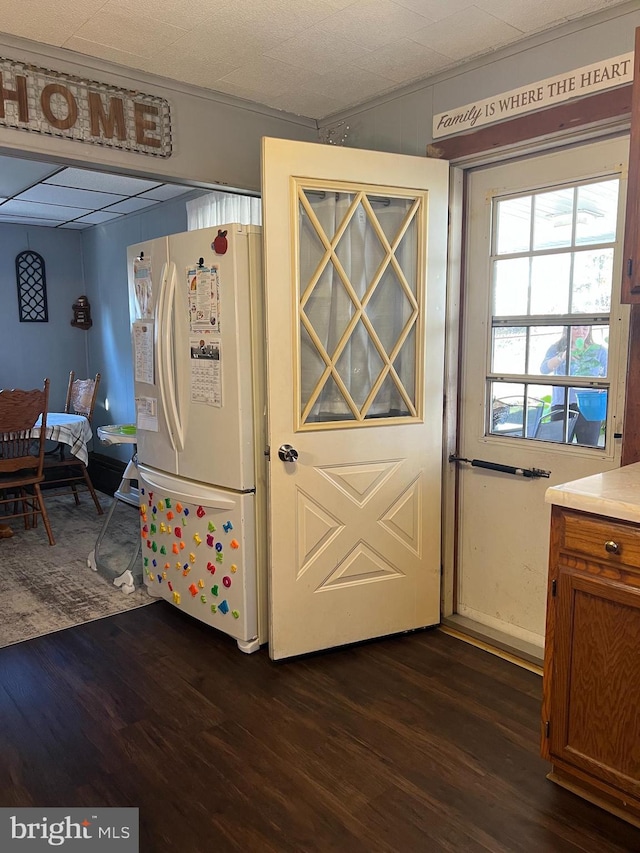 kitchen with white fridge, dark hardwood / wood-style flooring, and ornamental molding