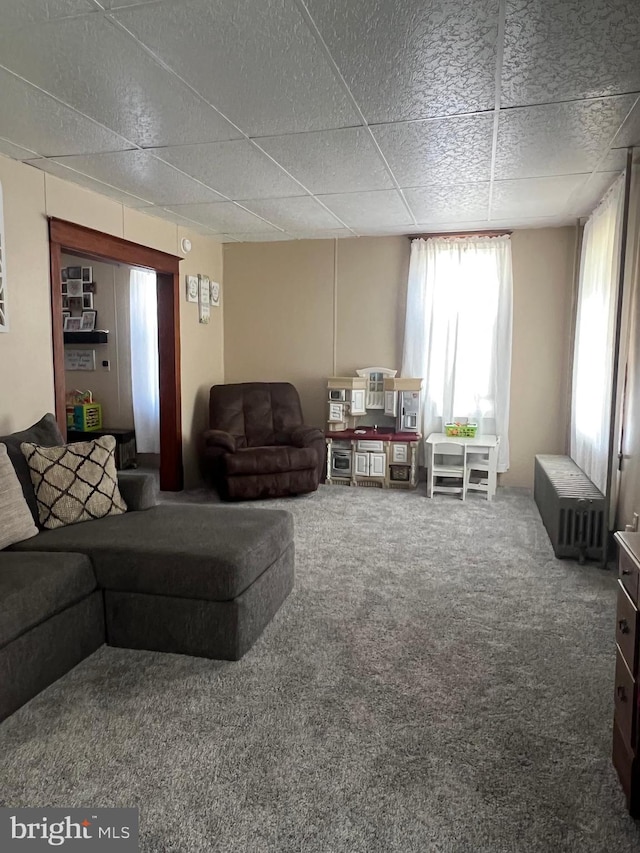 living room with radiator heating unit and carpet