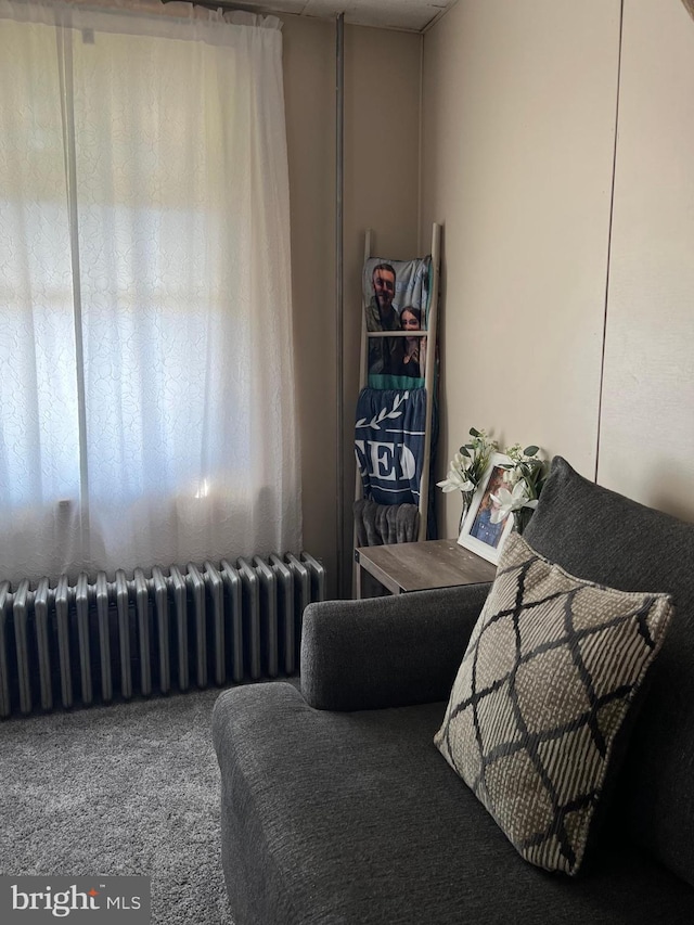 sitting room with carpet floors and radiator