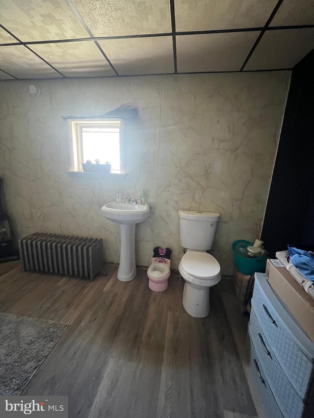 bathroom featuring hardwood / wood-style floors, radiator heating unit, and a drop ceiling