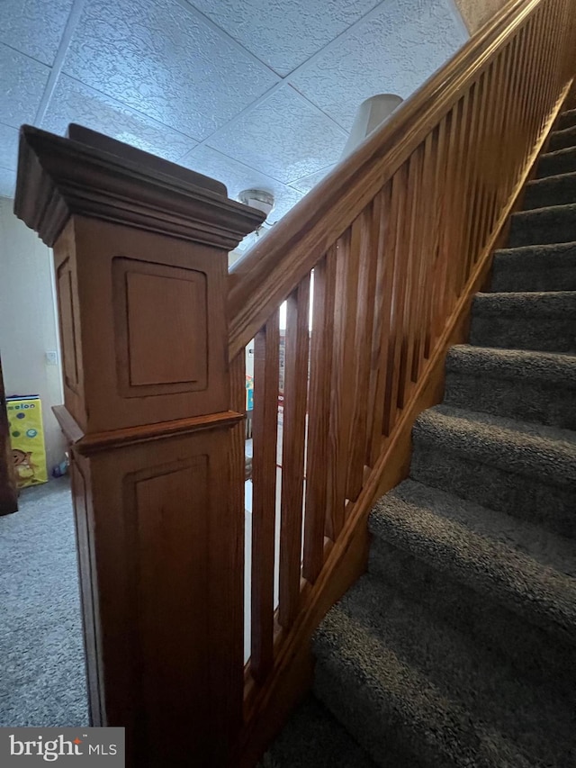 stairs with carpet flooring