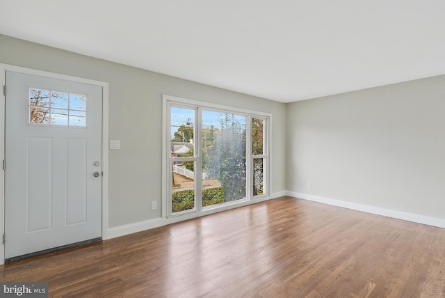 foyer entrance with a wealth of natural light and wood-type flooring