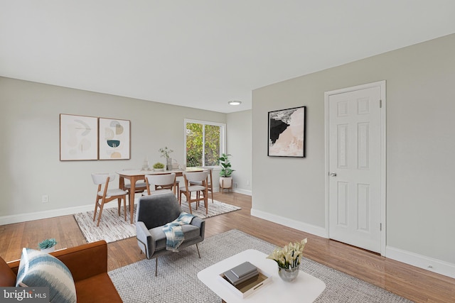 living room featuring wood-type flooring