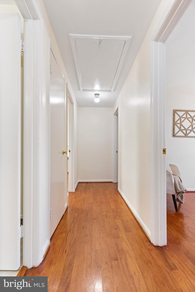 hallway featuring light hardwood / wood-style floors