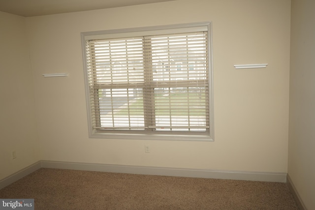 empty room featuring carpet flooring and plenty of natural light