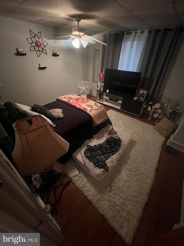 bedroom featuring ceiling fan, a drop ceiling, and hardwood / wood-style floors