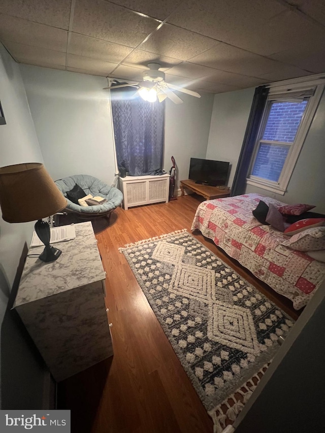 bedroom with a paneled ceiling, hardwood / wood-style flooring, and ceiling fan