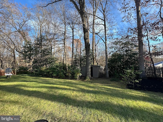 view of yard with a storage unit