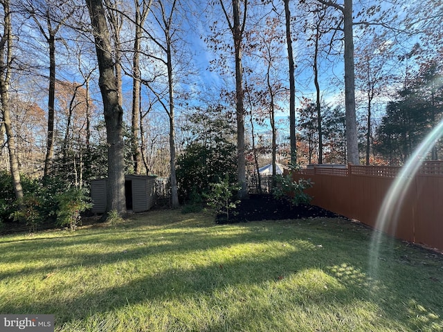 view of yard featuring a shed