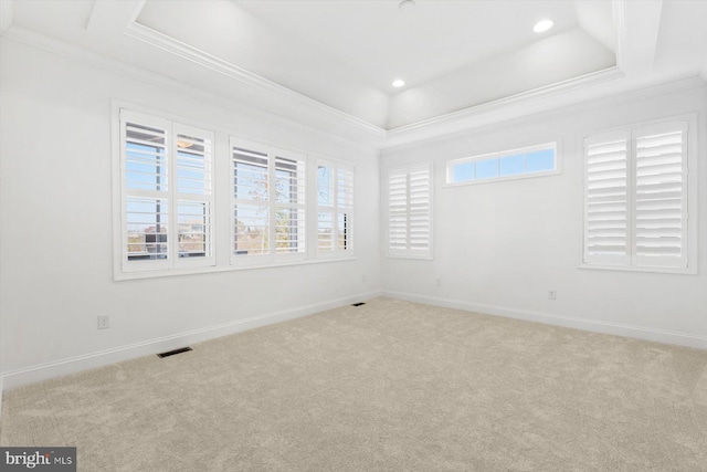 unfurnished room featuring a raised ceiling, carpet floors, and ornamental molding