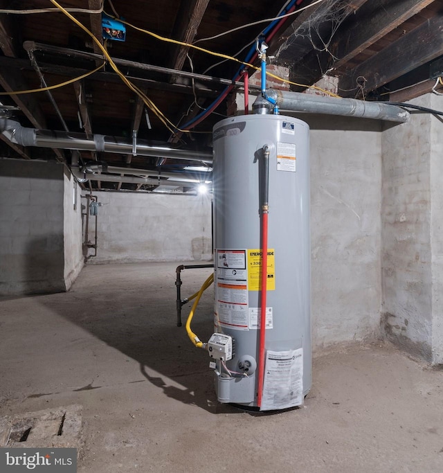 utility room with gas water heater