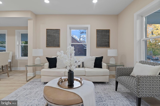 living room featuring light hardwood / wood-style flooring