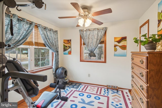 exercise area featuring ceiling fan and hardwood / wood-style flooring