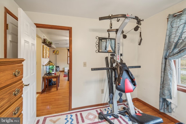 workout area featuring light hardwood / wood-style floors