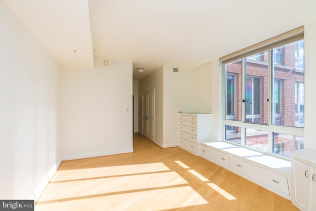 empty room featuring light hardwood / wood-style flooring and plenty of natural light