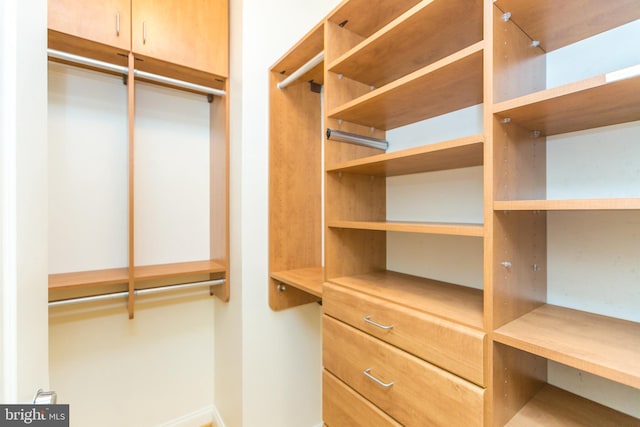 view of spacious closet