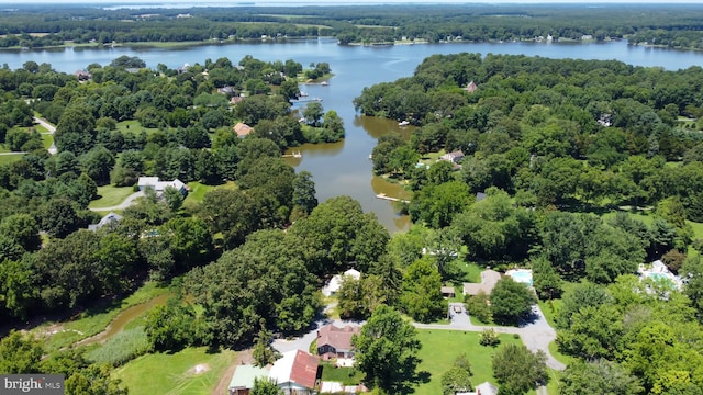 drone / aerial view featuring a forest view and a water view