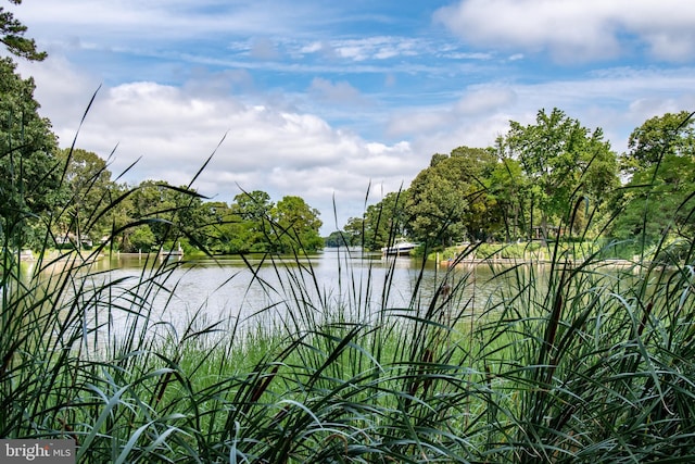 view of water feature