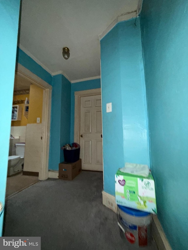 interior space featuring crown molding and carpet floors