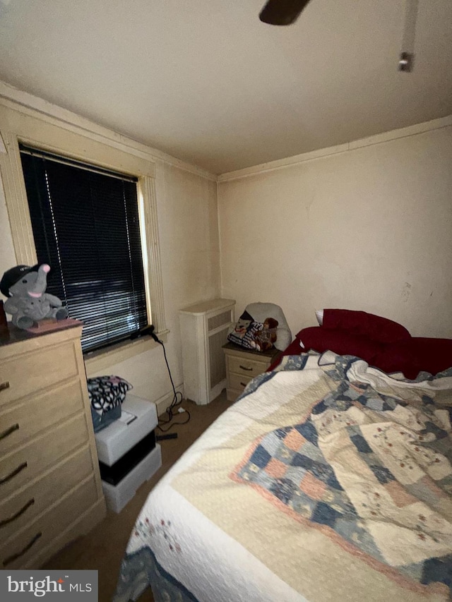 bedroom featuring crown molding and radiator heating unit