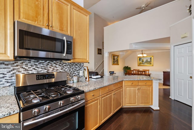 kitchen with a peninsula, light stone counters, dark wood-type flooring, and appliances with stainless steel finishes