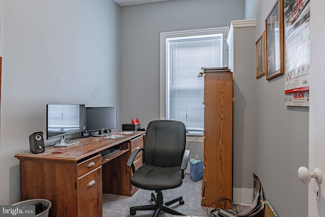 office space with light carpet