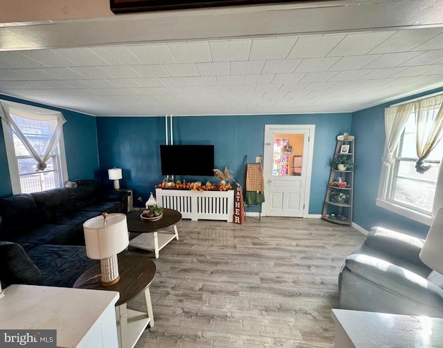 living room with light wood-type flooring