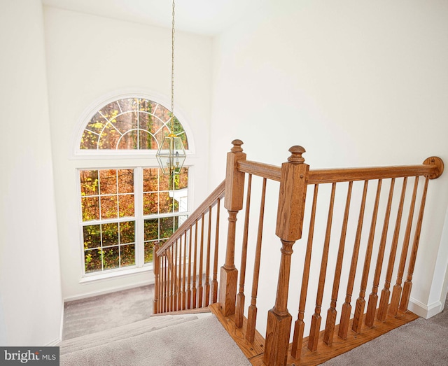 stairway with carpet floors