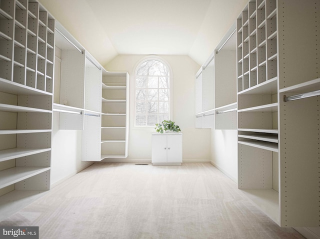 spacious closet with carpet and lofted ceiling